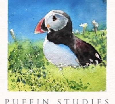 A Tryptych of Puffins   ~ Expressive Watercolours Workshop  ~ with Sarah Stokes 